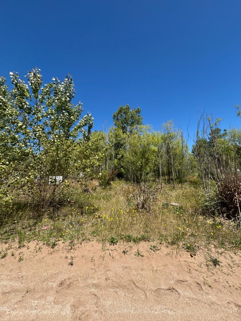Lotes- Venta- San Bernardo- Bº Escurra Medrano