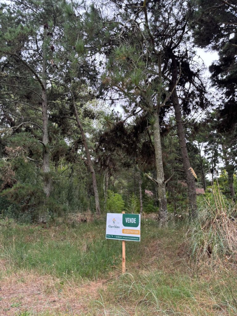 Lote- Venta- Costa del Este